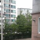 비아이비 이미지