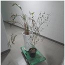 부산폐가구수거부터 부산재활용센터 부산싹담아재활용 후기