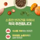 에코세븐 이미지