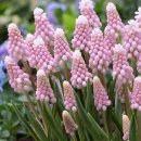 썬라이즈 이미지