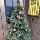 카고 | 안성 맛집 옐로우카고 후기