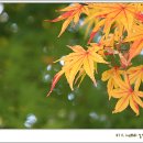 평림초등학교 이미지