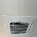 캐스룸 | 대전, 유성 고양이 호텔 캐스룸 이용 후기