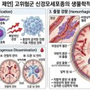 지우메디칼