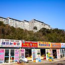 혜선이네횟집 | 외옹치항 회센터 속초 롯데리조트 근처 횟집