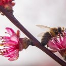 꽃과 그늘 이미지