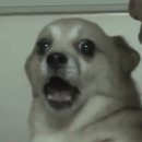 훼미리365의원 | 성인 B형 독감 후기 ㅣ 전조증상, 후유증, 실비 청구 필요 서류