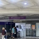 루나하우스 | 🎬 [루나사에서 춤을] 입체낭독극 솔직 후기 신도림 오페라하우스 🎞️