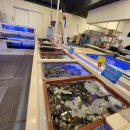 고래수산 이미지