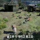 붉은사막 동물농장 이미지