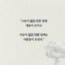 어반스토리