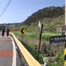 소청여행사
