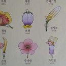 민간약초생활한방 이미지