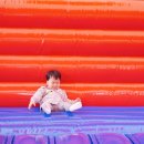 에코카랜드 | 아이와 가볼만한곳, 분당 코코몽에코파크