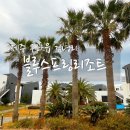 블루스프링리조트 | [구좌 숙소] 김녕해수욕장 5분거리 제주동쪽 가족추천 숙소 - 블루스프링리조트