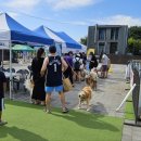 뚝섬한강공원-4 이미지