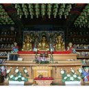 창원 성흥사 목조석가여래삼존좌상 및 십육나한상 일괄 | 창원 성흥사 목조석가여래삼존좌상 및 십육나한상 일괄