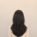 세븐헤어월드 - 하남시 | 세븐헤어월드