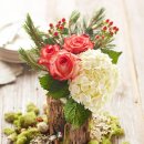 메종드데코 이미지