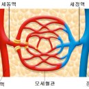 정든약국 이미지