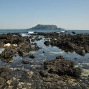 제주도가 이미지