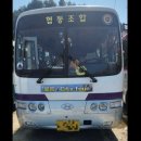 독도사랑 여행사 | [울릉도 독도여행] 1. 울릉도 독도 대가족 패키지 여행 내돈내산 후기 시작!