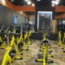 다부짐휘트니스 이미지