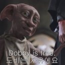 향남셀프세차