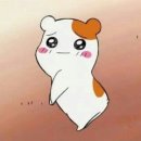 메인 휘트니스 백마점 이미지