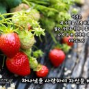 PICTURE&TEXT_20230402_마태복음 26장 28절_하나님을 사랑하여 자신을 바쳐라_종려 주일 & 고난 주일 묵상_하나님의 이미지