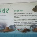 성읍리초가장 이미지