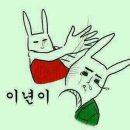 씨포인트