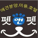 모여라댕댕이 이미지