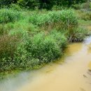 영산대학교(해운대) 이미지