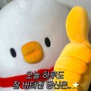 25년 3월 3주 꽃샘추위도 안녕