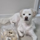 어 페일 블루닷 이미지