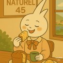 45 | 창원 NATUREL45 베이커리 내돈내산 후기
