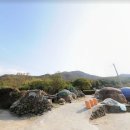 김병석공인중개사사무소 이미지