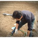 박영석농장 이미지