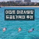 거북이 | 마르사알람 듀공 거북이 투어 후기 가격 장비