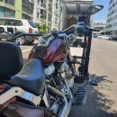 팀 팻보이 이미지