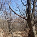 자연알로(주덕) 이미지