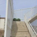 가평니노키즈풀빌라스파수영장펜션 | 강원도 고성 감성숙소 모노섬 펜션 전객실 오션뷰 풀빌라