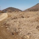 대전리농장 이미지