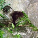 수달펜션 이미지