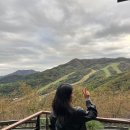 소망분재원