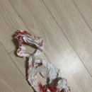 시고르박 이미지