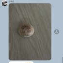 전병원 | 정신과 약 기록 일지 2탄💊 몸과 마음의 고비를 지나며