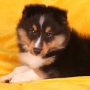 이지스힐 이미지