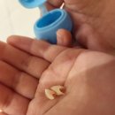 루원하다소아치과의원 이미지